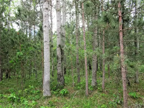 lot111 112 Bridle Rd, Webster, WI 54893