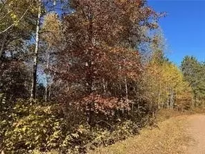 0 Dana Rd, Barnes, WI 54873 photo 12