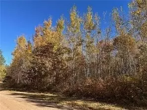 0 Dana Rd, Barnes, WI 54873 photo 13