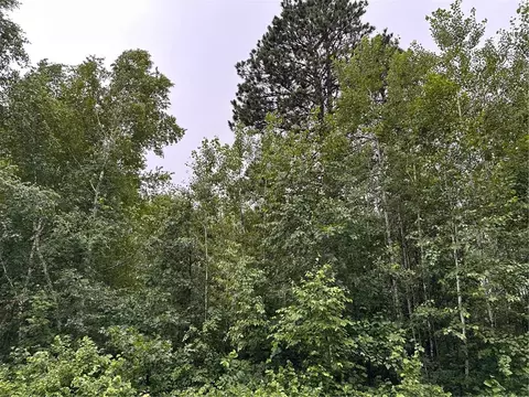 0 Dana Rd, Barnes, WI 54873 photo 5