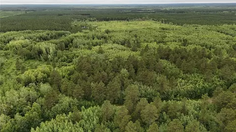 0 Dana Rd, Barnes, WI 54873 photo 9