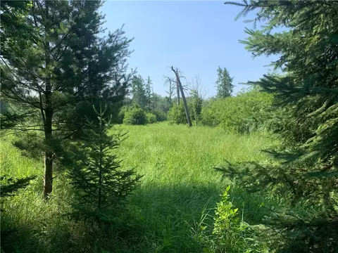 Exterior - 17564 Forest Road 1285, Glidden, WI 54527 photo 11 of 14