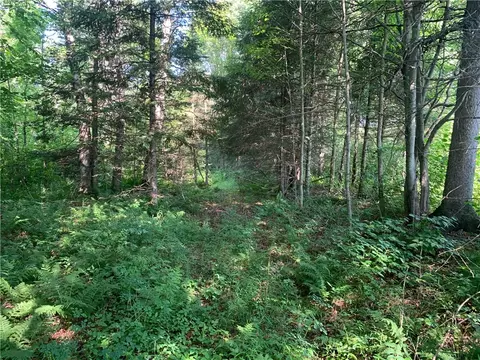 Exterior - 17564 Forest Road 1285, Glidden, WI 54527 photo 8 of 14