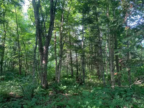 Exterior - 17564 Forest Road 1285, Glidden, WI 54527 photo 5 of 14