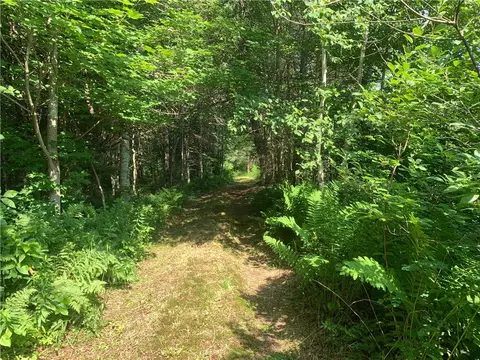 Other - 17564 Forest Road 1285, Glidden, WI 54527 photo 6 of 11