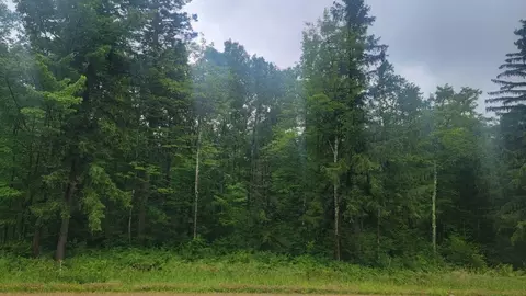 n4651 Pennington Road, Prentice, WI 54556