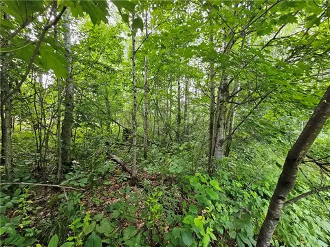 000 Williams Rd #LOT 4, Shell Lake, WI 54871 photo 9