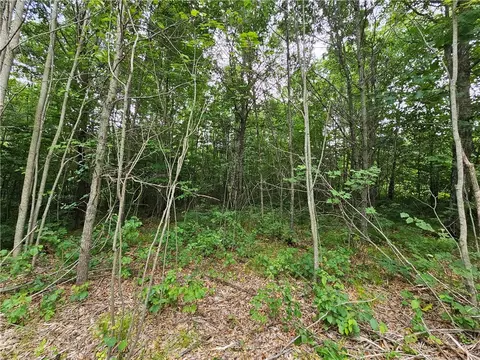 000 Williams Rd #LOT 4, Shell Lake, WI 54871 photo 12