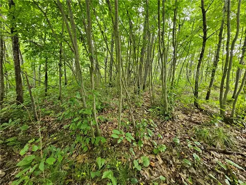 000 Williams Rd #LOT 4, Shell Lake, WI 54871 photo 10