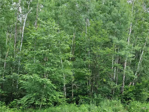 000 Williams Rd #LOT 4, Shell Lake, WI 54871 photo 8