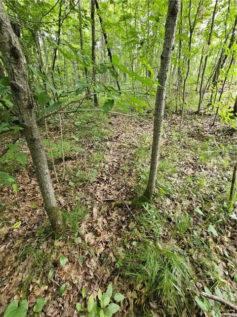 000 Williams Rd #LOT 4, Shell Lake, WI 54871 photo 11