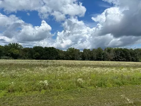lot3 Blackstone Trl, Eleva, WI 54738 photo 2