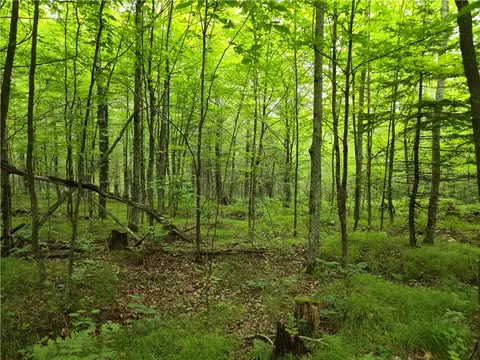 lot31 32 Woodcrest Dr, Cable, WI 54821