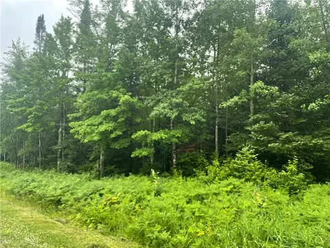 40 Acres Corner Of Cty N And Mackenberg Rd, Glidden, WI 54527
