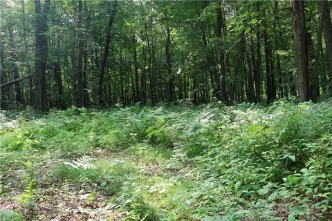 lot11 103rd St, Frederic, WI 54837 photo 7