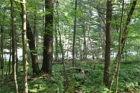 lot11 103rd St, Frederic, WI 54837 photo 8