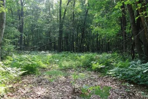 lot11 103rd St, Frederic, WI 54837 photo 10