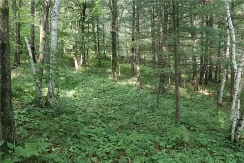 lot11 103rd St, Frederic, WI 54837 photo 11