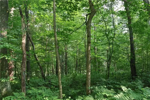 lot11 103rd St, Frederic, WI 54837 photo 9