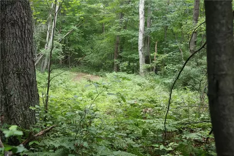 lot11 103rd St, Frederic, WI 54837 photo 12