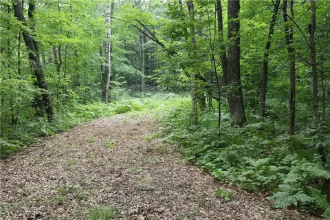 lot11 103rd St, Frederic, WI 54837 photo 3