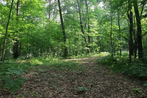 lot11 103rd St, Frederic, WI 54837