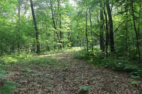 lot11 103rd St, Frederic, WI 54837 photo 5