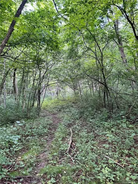 lot2 30th Ave, Amery, WI 54001
