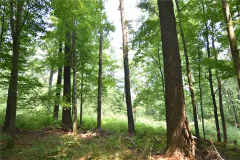 0 24 34 St, Chetek, WI 54728 photo 6