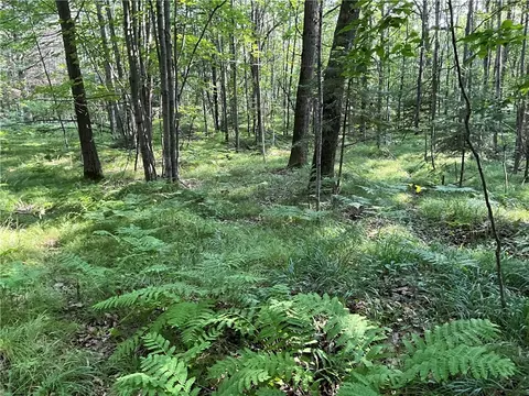 lot3 Falcon Rdg, Hayward, WI 54843