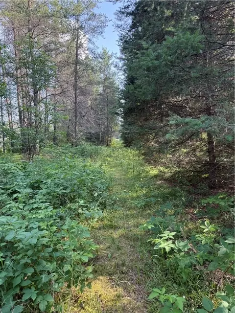 0 Tagalder Trl, Hayward, WI 54843