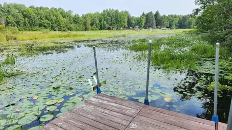 View/Area - n9009 West Island Road, Phillips, WI 54555 photo 1 of 1