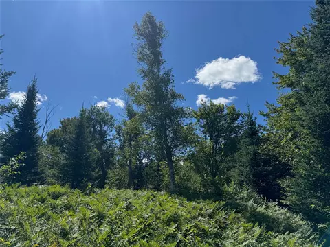 8143 N Wright Rd, Winter, WI 54896 photo 35
