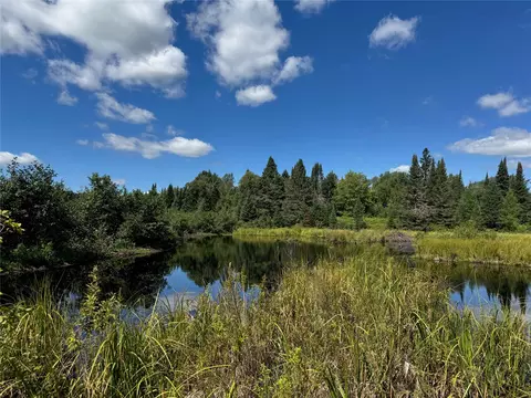 8143 N Wright Rd, Winter, WI 54896 photo 16