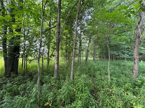 2541 County Rd D, Boyd, WI 54726