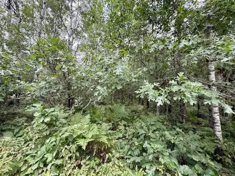 lot13 E Idlewild Lake Rd, Barnes, WI 54873