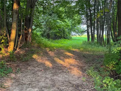 tbd 690th Ave, Spring Valley, WI 54767 photo 12