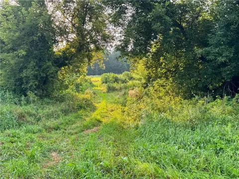 tbd 690th Ave, Spring Valley, WI 54767 photo 14