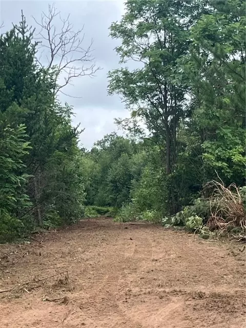 Nnn Bluebird Trail, Webster, WI 54893