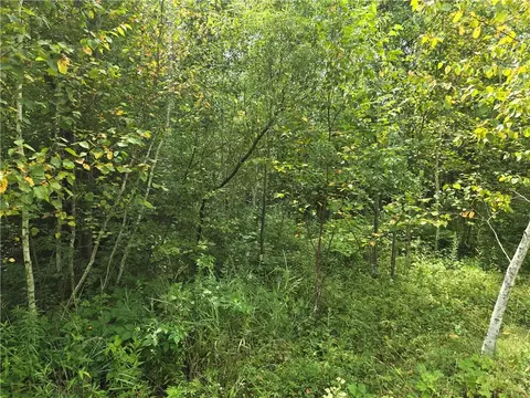 00 10 14 Ave, Chetek, WI 54728 photo 3