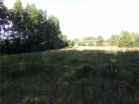 7581 S Marsik Lot 2 Rd, Lake Nebagamon, WI 54849