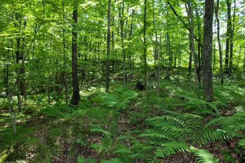 lot18 County Highway D, Chetek, WI 54728 photo 18