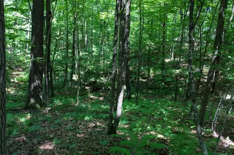 lot18 County Highway D, Chetek, WI 54728 photo 19