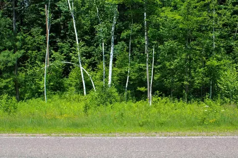 lot18 County Highway D, Chetek, WI 54728 photo 11