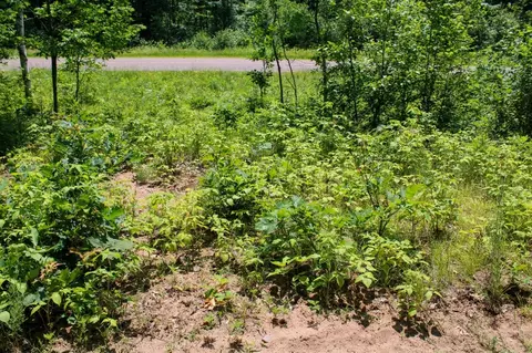 lot18 County Highway D, Chetek, WI 54728 photo 17