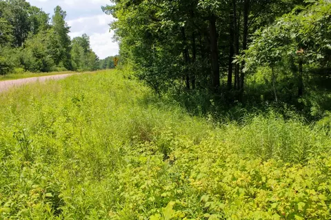 lot18 County Highway D, Chetek, WI 54728 photo 22