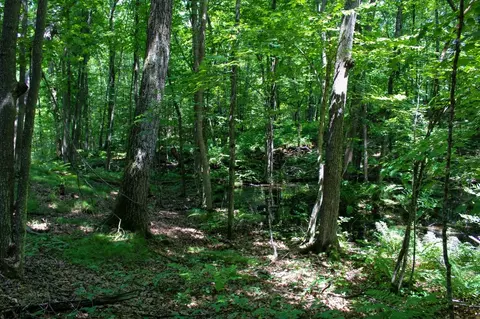 lot18 County Highway D, Chetek, WI 54728 photo 20