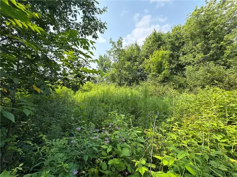 00 70th St, Apple River, WI 54889 photo 13