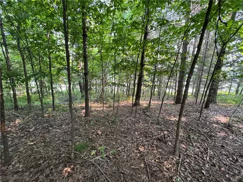 00 70th St, Apple River, WI 54889 photo 30