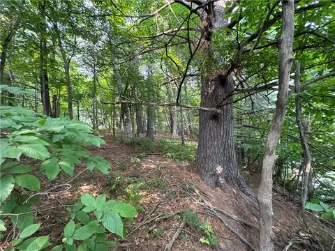 00 70th St, Apple River, WI 54889 photo 23